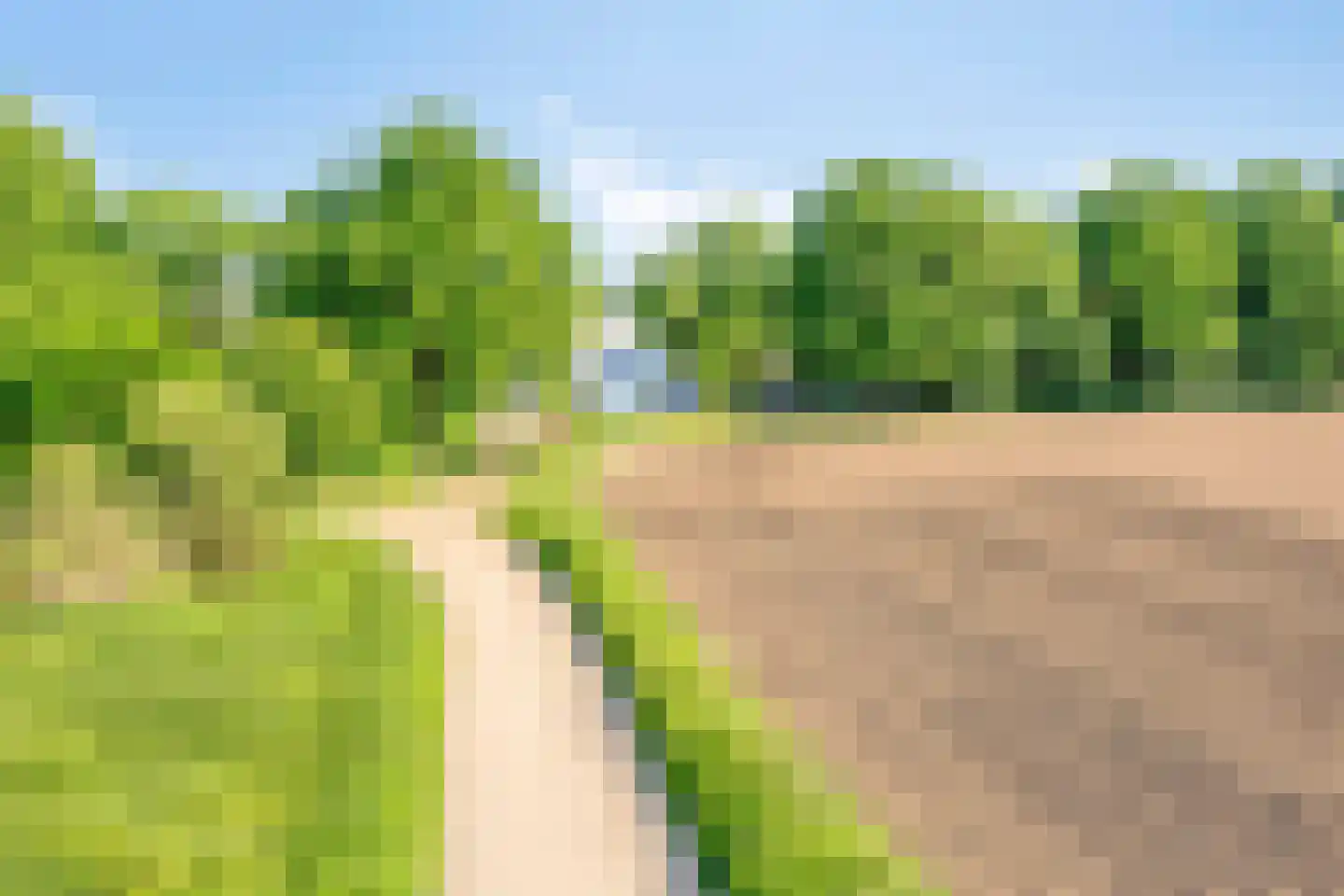 Stendert 3 Meerlo thumbnail 68