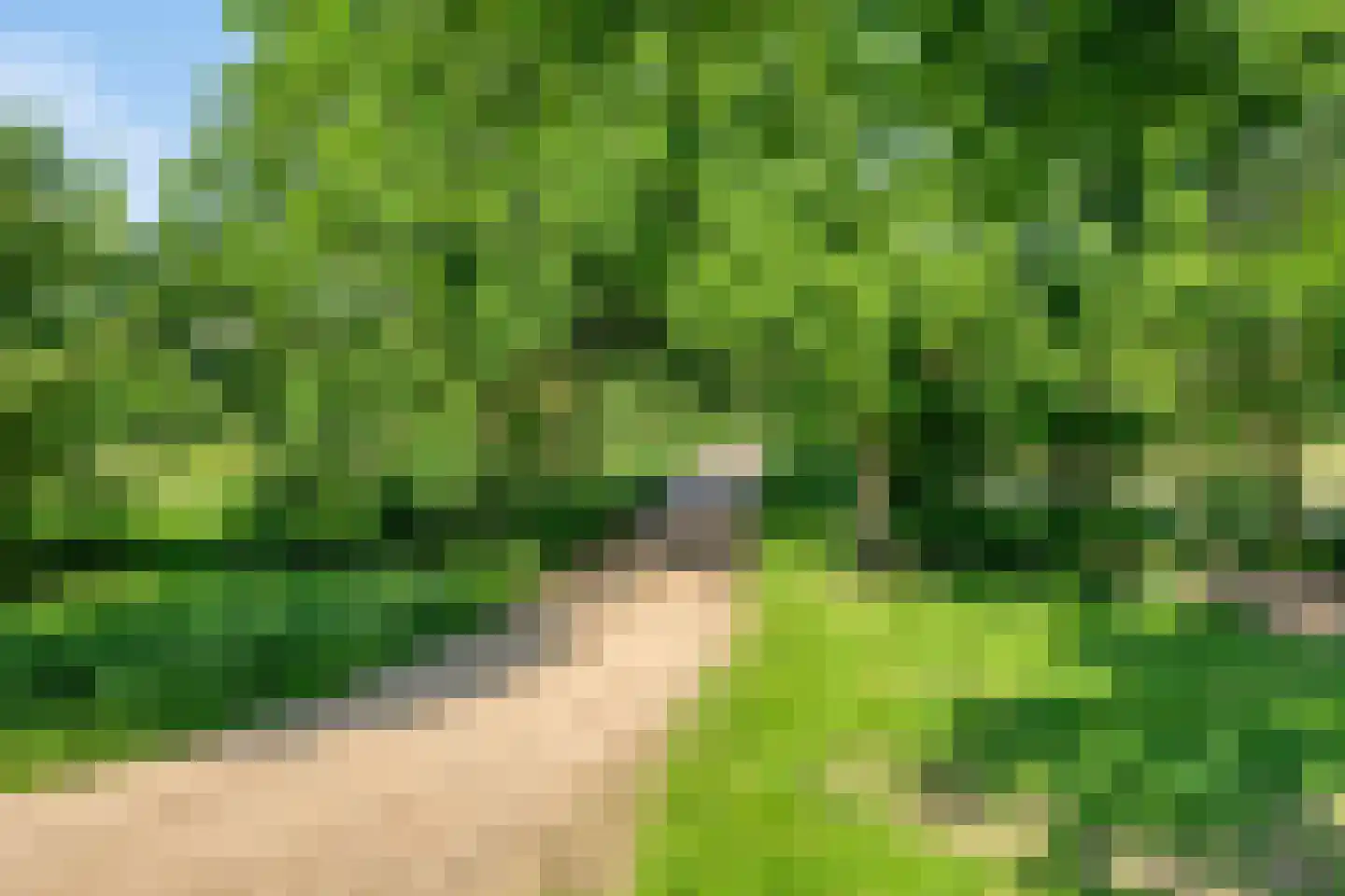 Stendert 3 Meerlo thumbnail 69