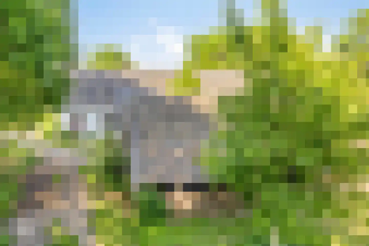 Stendert 3 Meerlo thumbnail 7