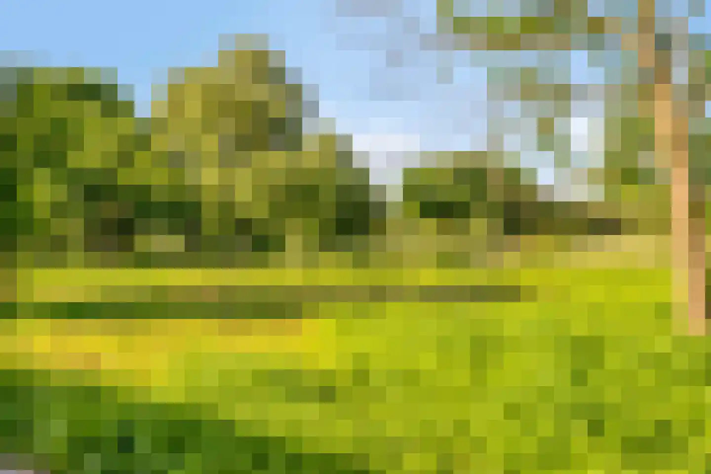 Stendert 3 Meerlo thumbnail 70