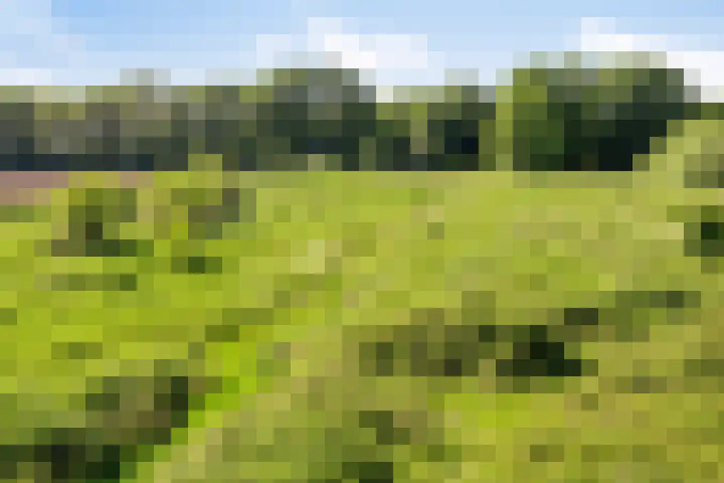 Stendert 3 Meerlo thumbnail 71