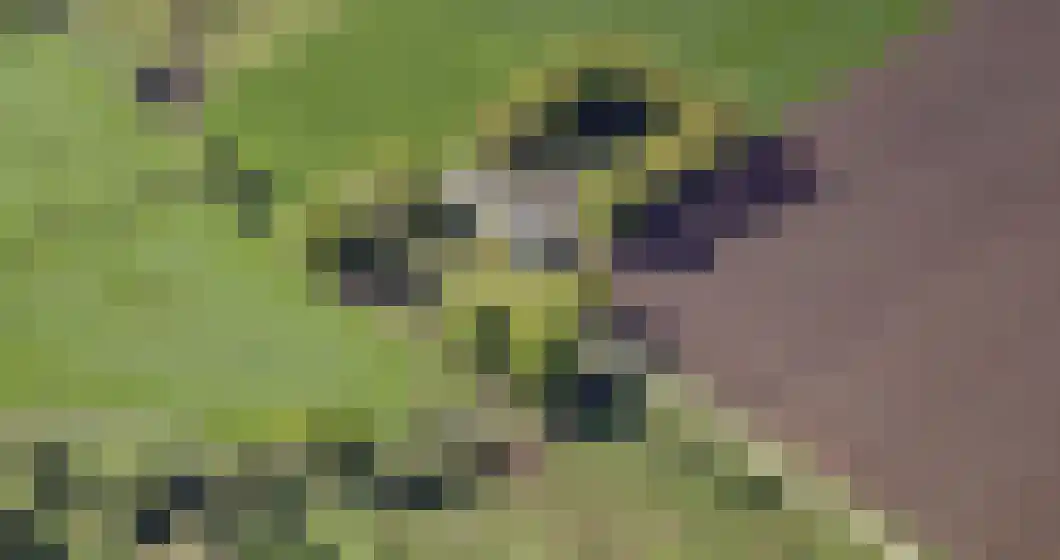 Stendert 3 Meerlo thumbnail 72