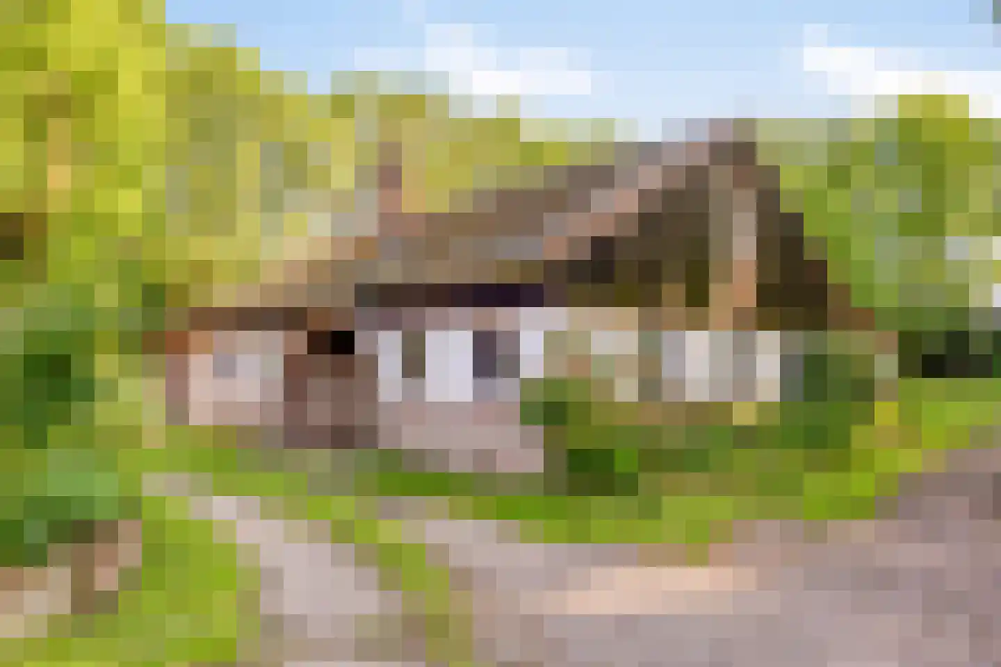 Stendert 3 Meerlo thumbnail 9