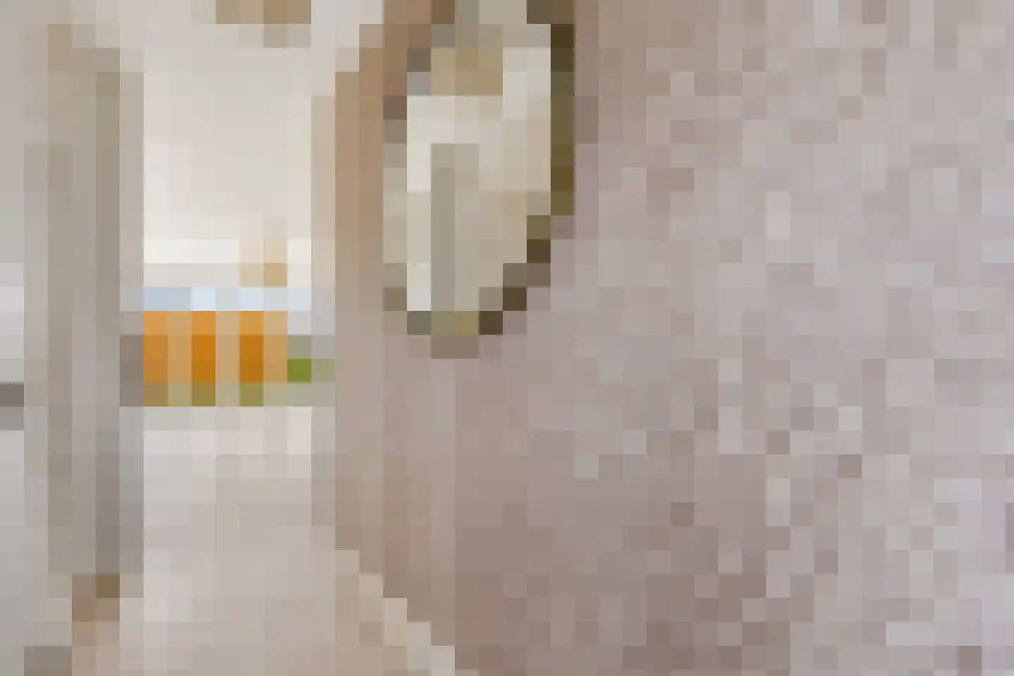 Stenen Baak 7 Zeewolde thumbnail 10