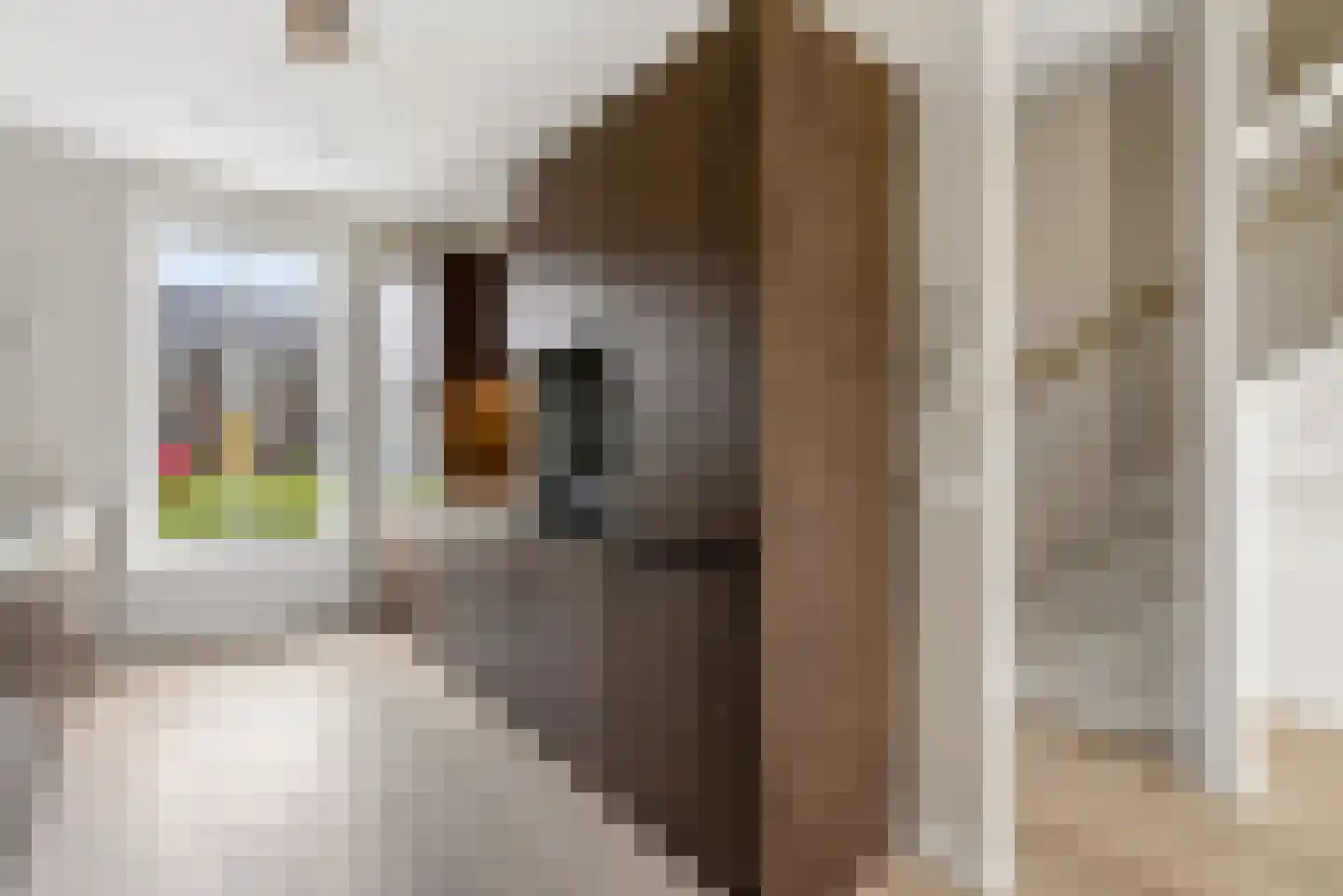 Stenen Baak 7 Zeewolde thumbnail 21