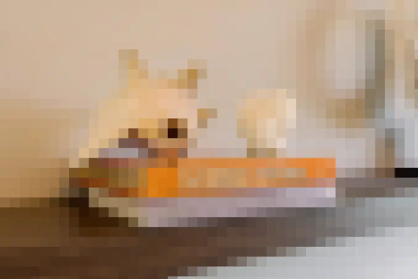 Stenen Baak 7 Zeewolde thumbnail 29