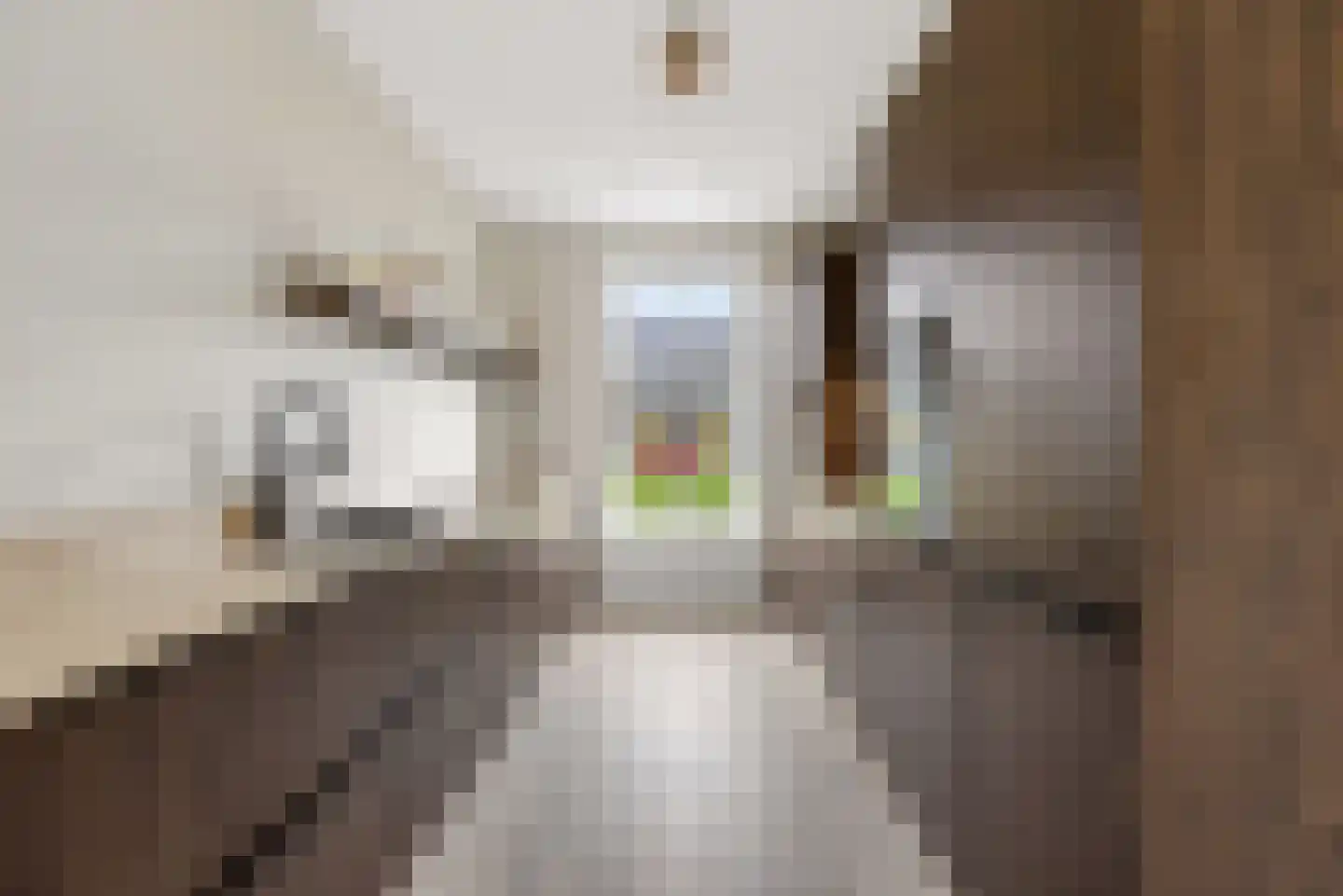 Stenen Baak 7 Zeewolde thumbnail 4
