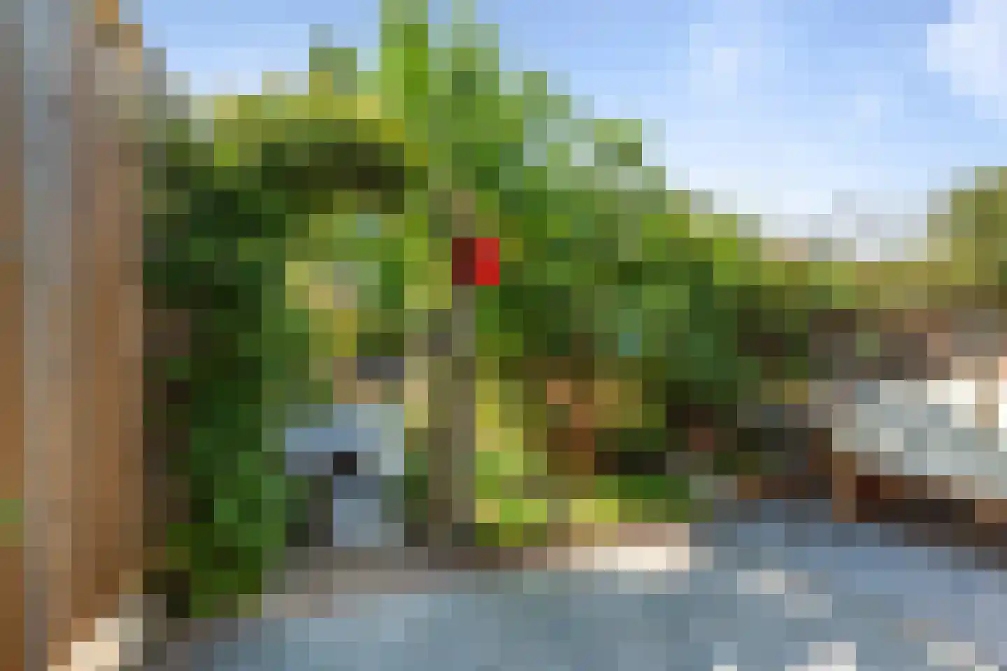 Stenen Beer 1 Amsterdam thumbnail 10