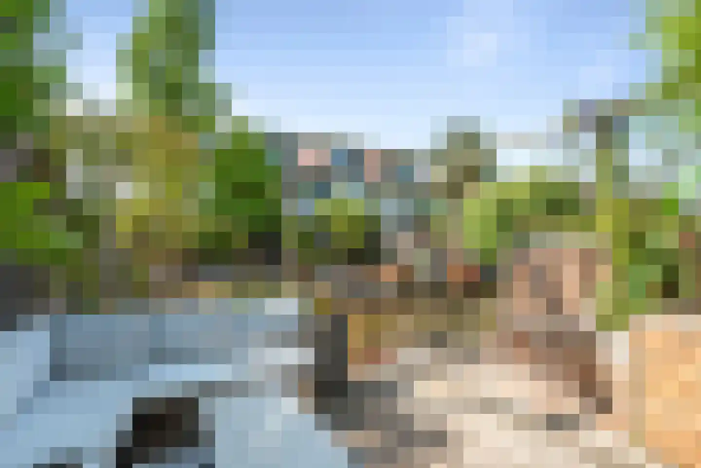 Stenen Beer 1 Amsterdam thumbnail 14