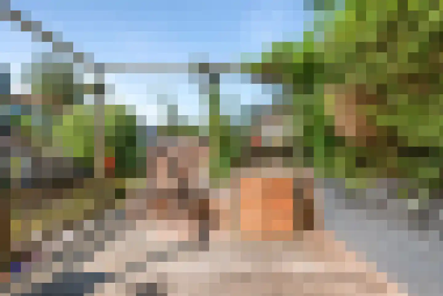 Stenen Beer 1 Amsterdam thumbnail 16