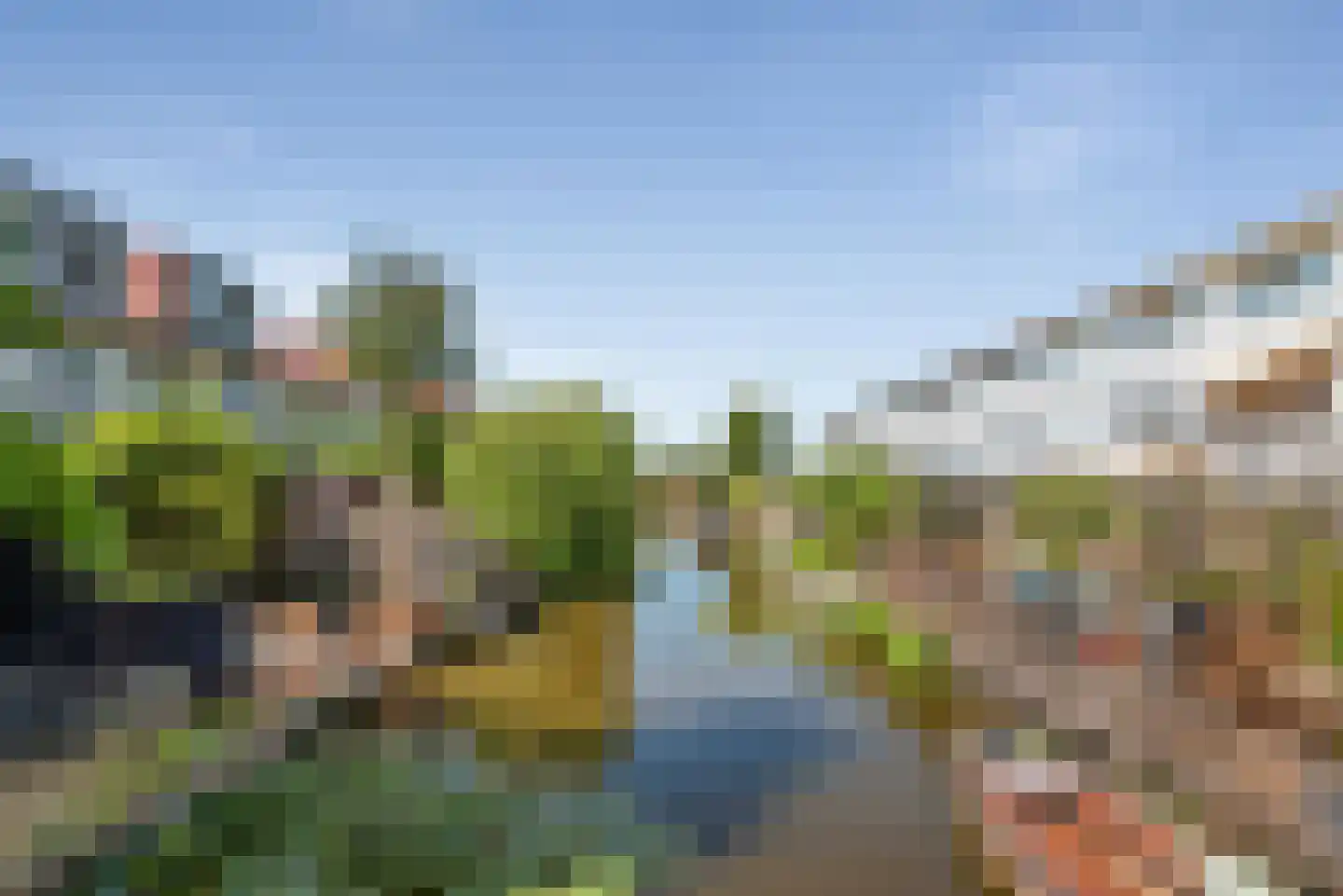 Stenen Beer 1 Amsterdam thumbnail 17