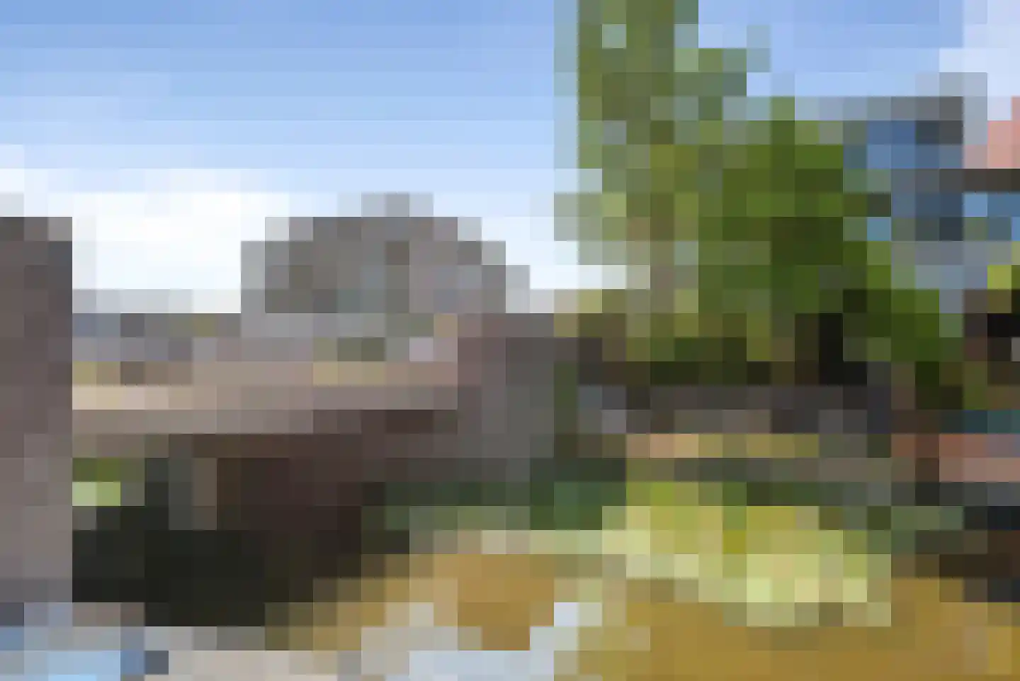 Stenen Beer 1 Amsterdam thumbnail 18