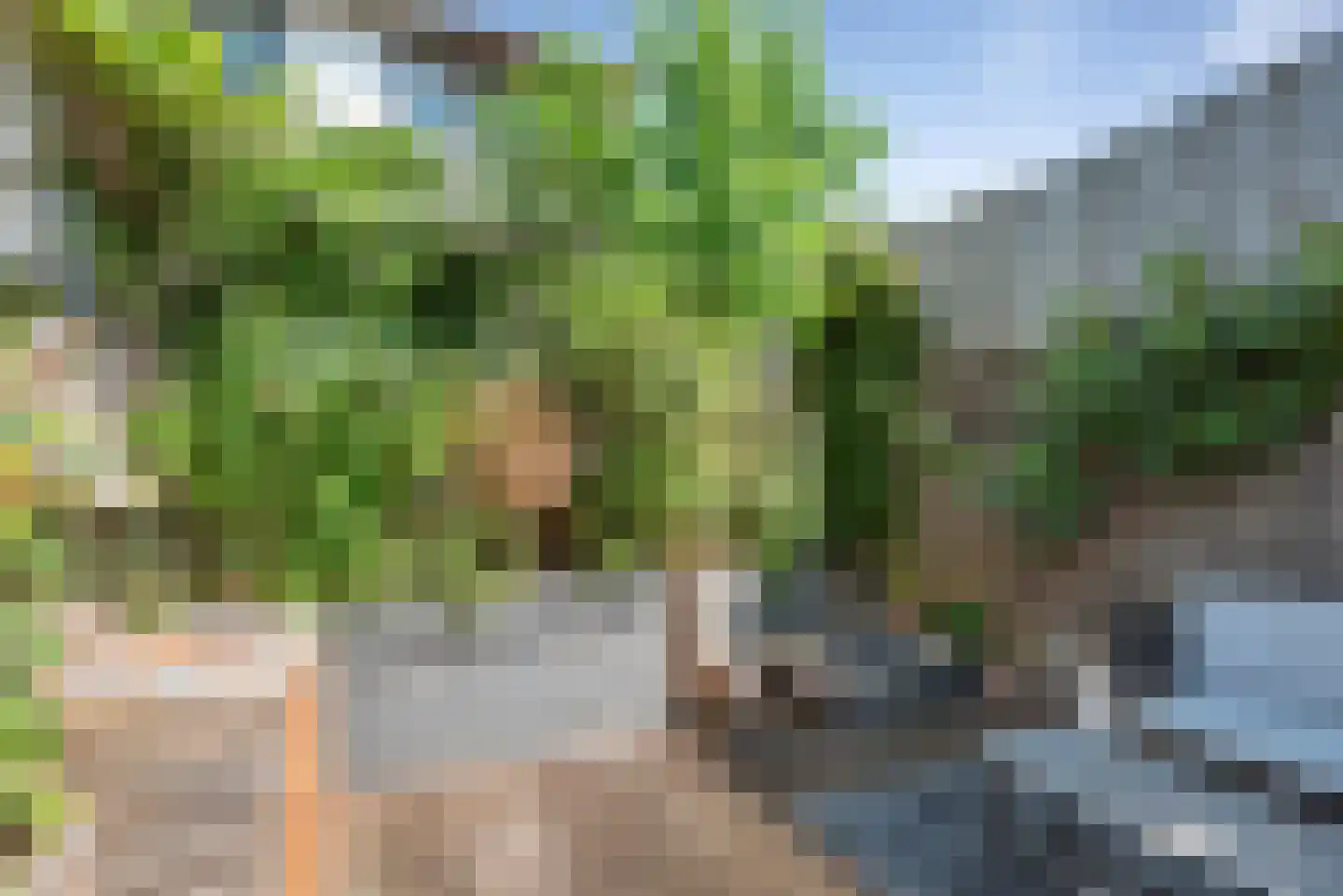 Stenen Beer 1 Amsterdam thumbnail 20