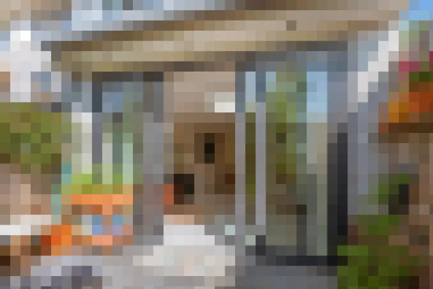 Stenen Beer 1 Amsterdam thumbnail 21