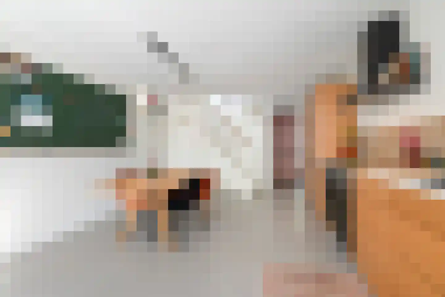 Stenen Beer 1 Amsterdam thumbnail 23