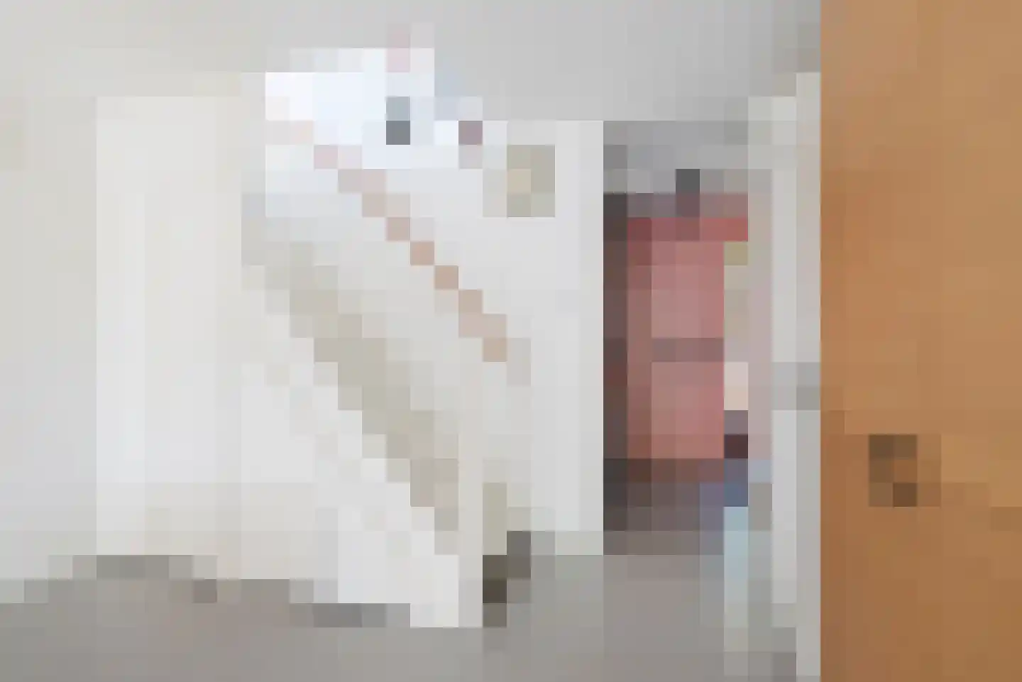Stenen Beer 1 Amsterdam thumbnail 26