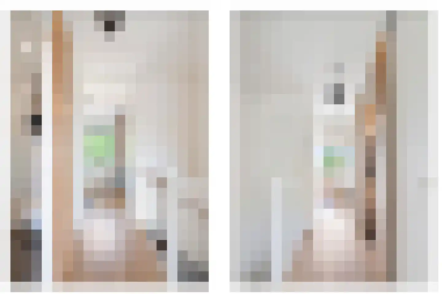 Stenen Beer 1 Amsterdam thumbnail 39