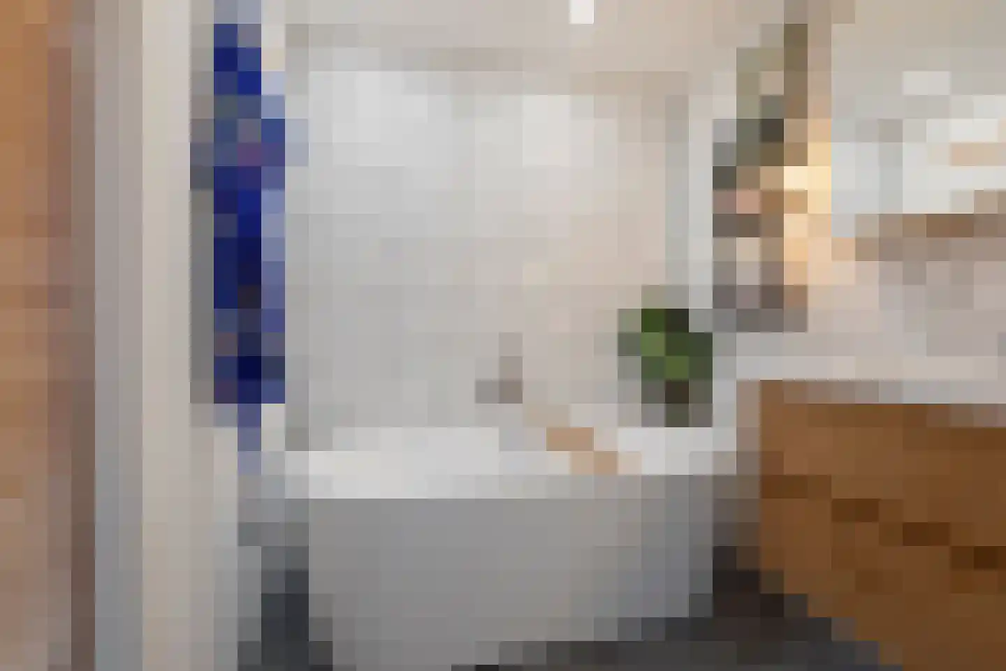 Stenen Beer 1 Amsterdam thumbnail 41