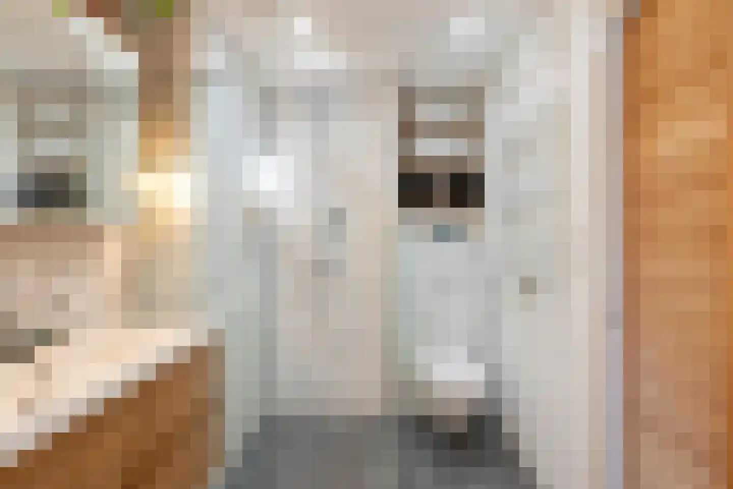 Stenen Beer 1 Amsterdam thumbnail 42