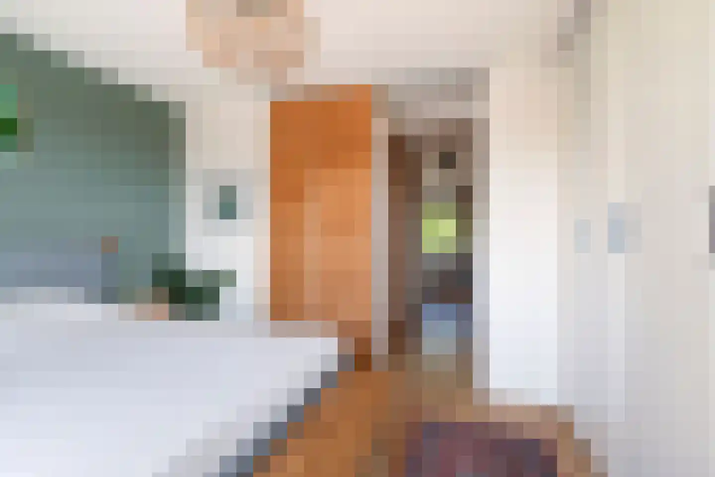 Stenen Beer 1 Amsterdam thumbnail 44