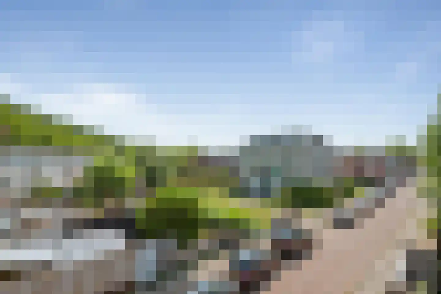 Stenen Beer 1 Amsterdam thumbnail 45