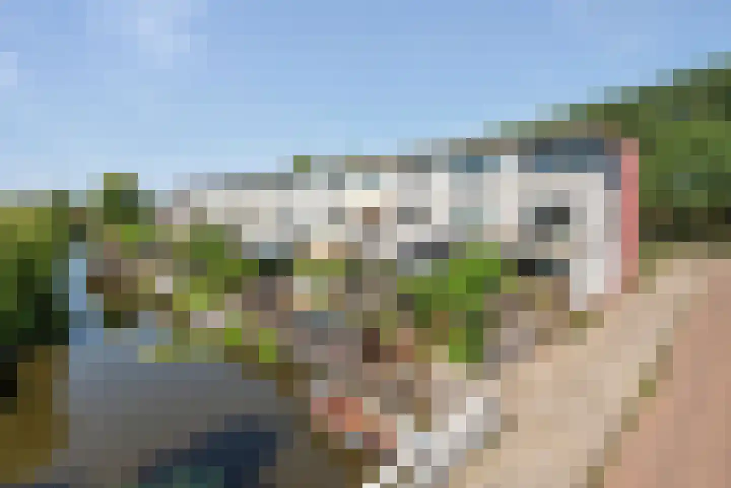 Stenen Beer 1 Amsterdam thumbnail 5