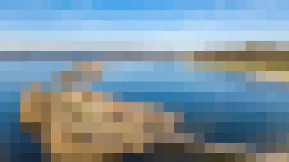 Stenen Beer 1 Amsterdam thumbnail 51