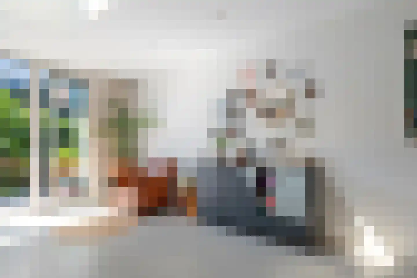Stenen Beer 1 Amsterdam thumbnail 9
