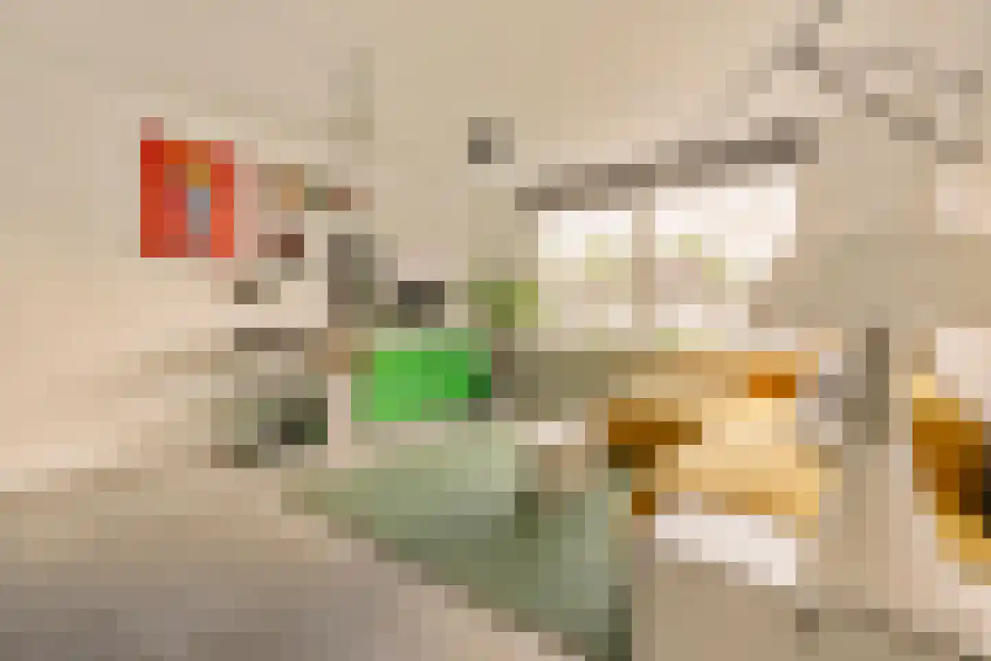 Stenen Beer 10 Amsterdam thumbnail 10