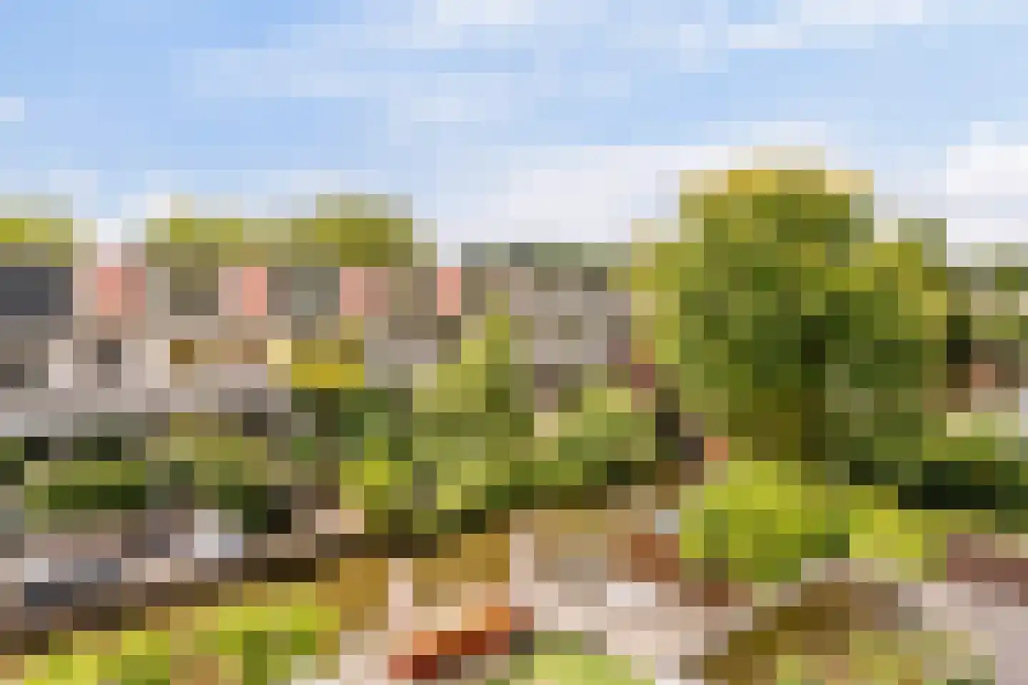 Stenen Beer 10 Amsterdam thumbnail 22