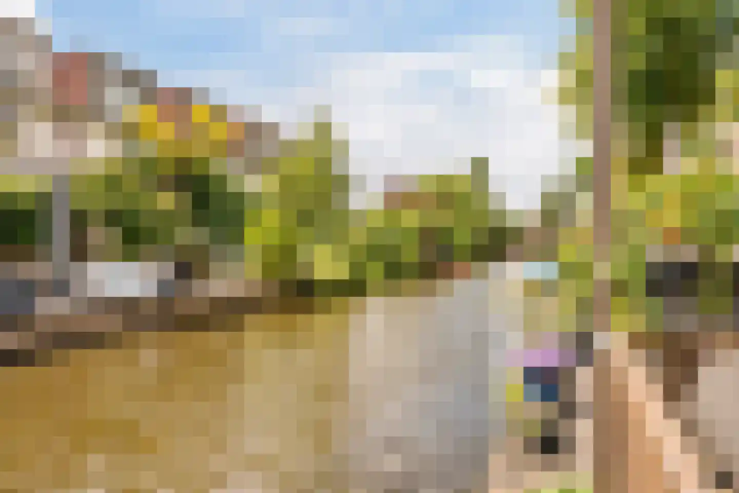Stenen Beer 10 Amsterdam thumbnail 4
