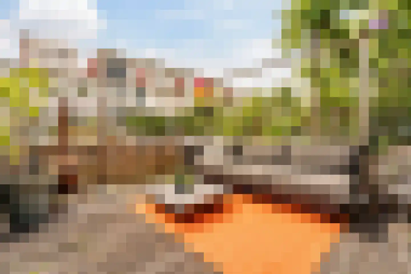 Stenen Beer 10 Amsterdam thumbnail 5