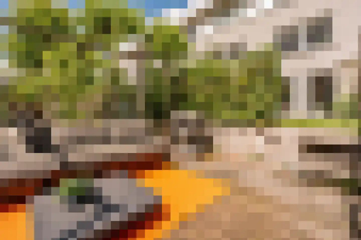 Stenen Beer 10 Amsterdam thumbnail 6