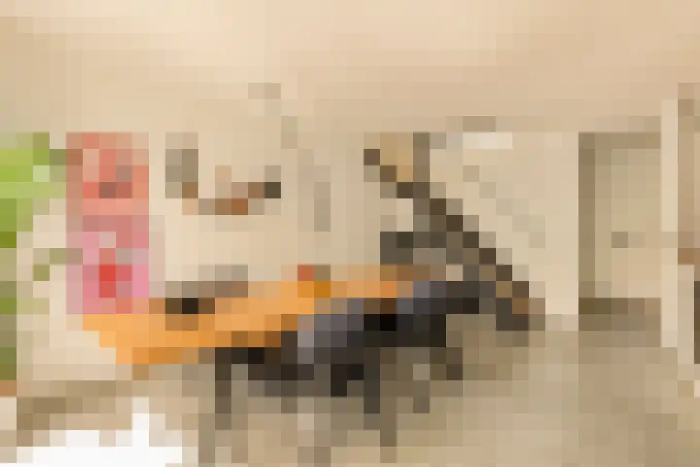 Stenen Beer 10 Amsterdam thumbnail 9