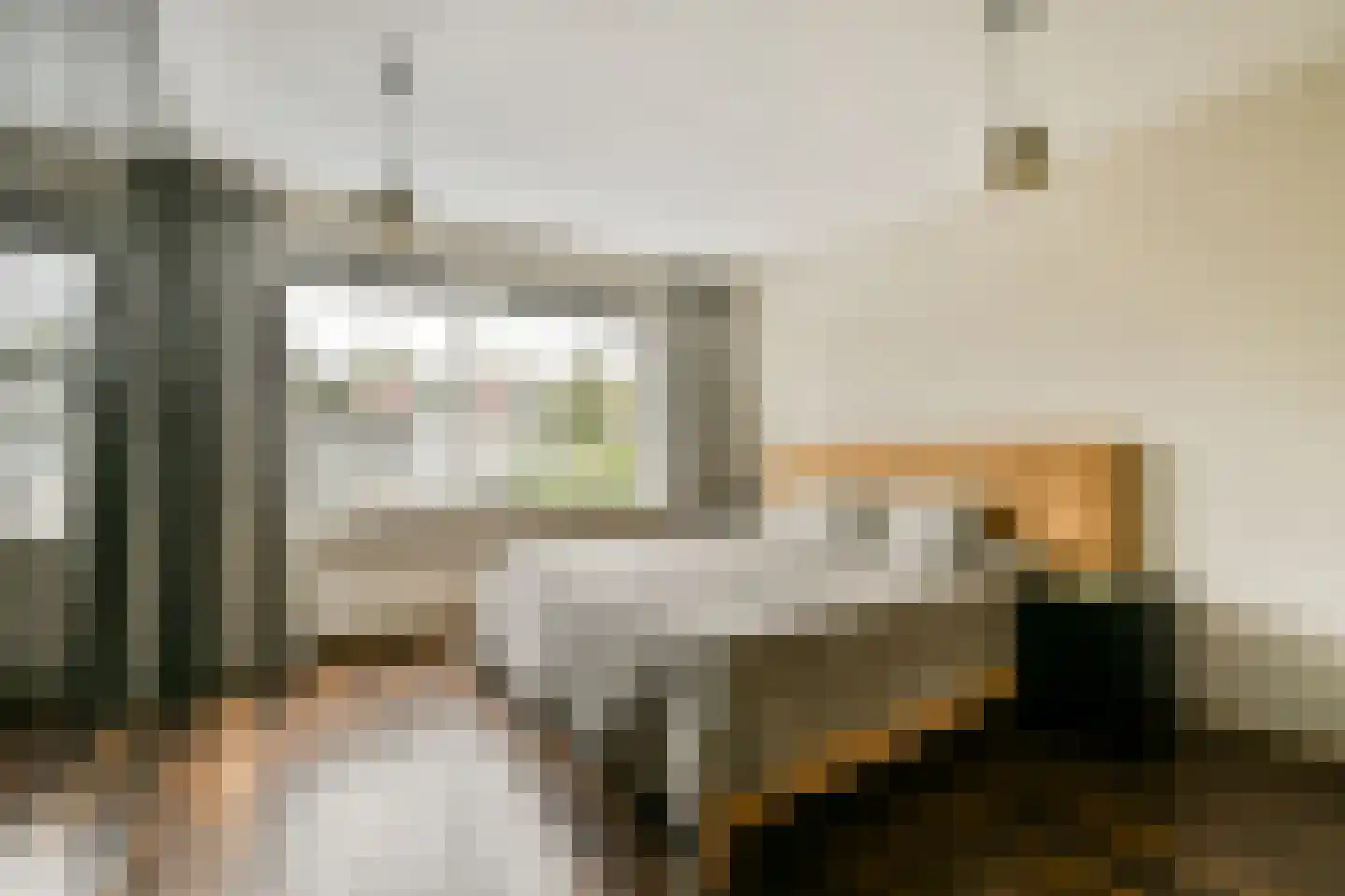 Stenen Beer 2 Amsterdam thumbnail 11