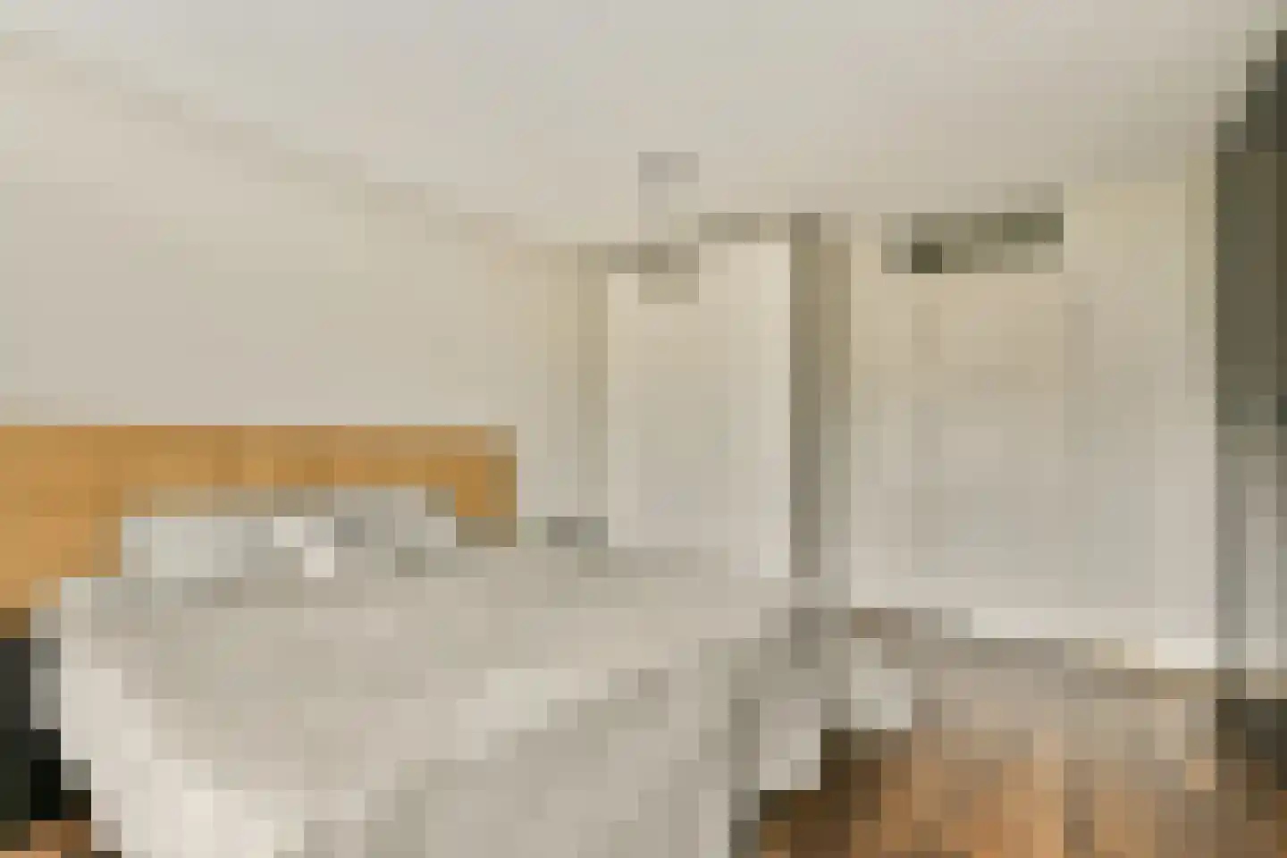 Stenen Beer 2 Amsterdam thumbnail 12