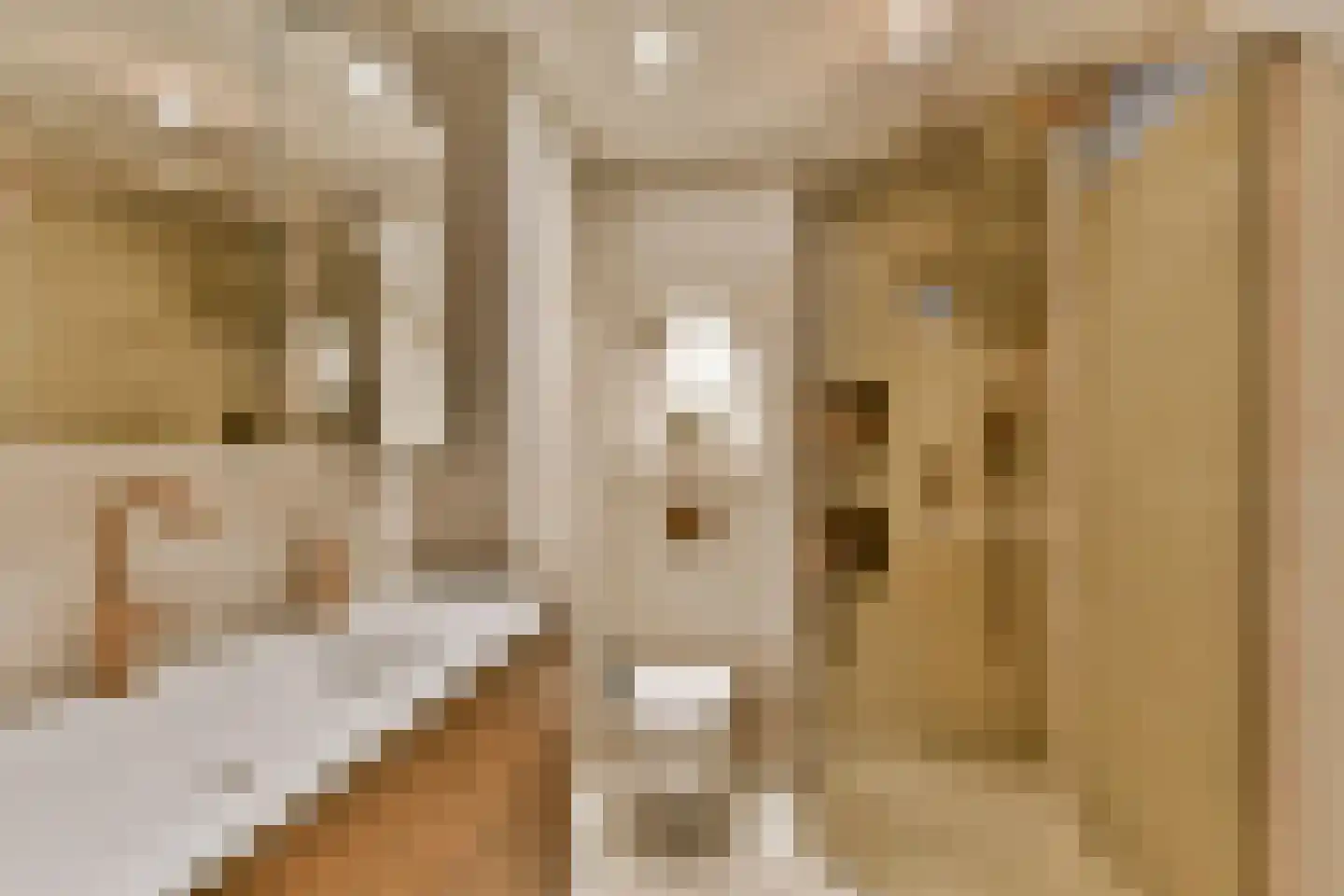 Stenen Beer 2 Amsterdam thumbnail 14