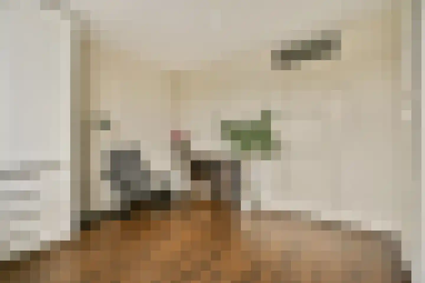 Stenen Beer 2 Amsterdam thumbnail 19