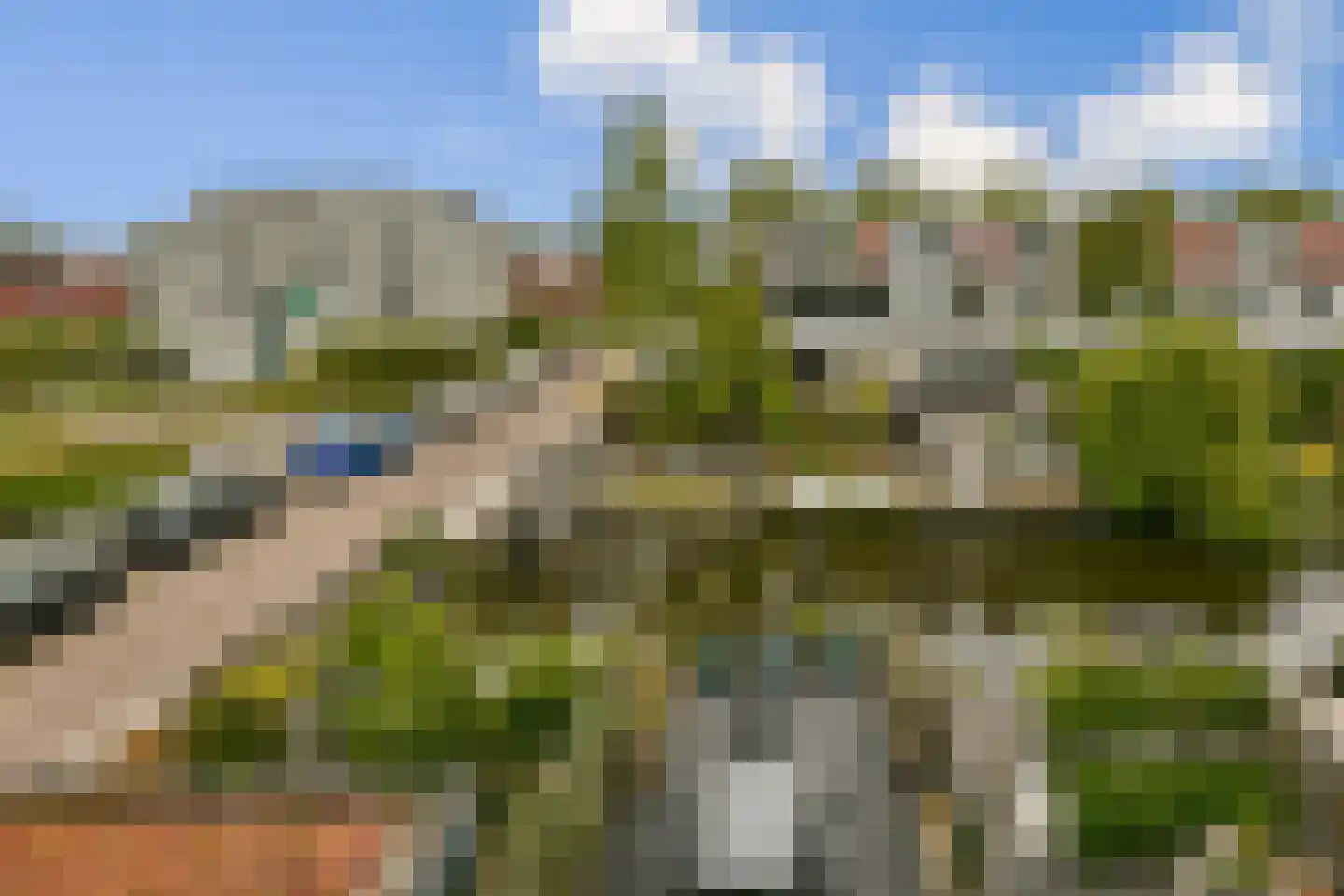 Stenen Beer 2 Amsterdam thumbnail 20