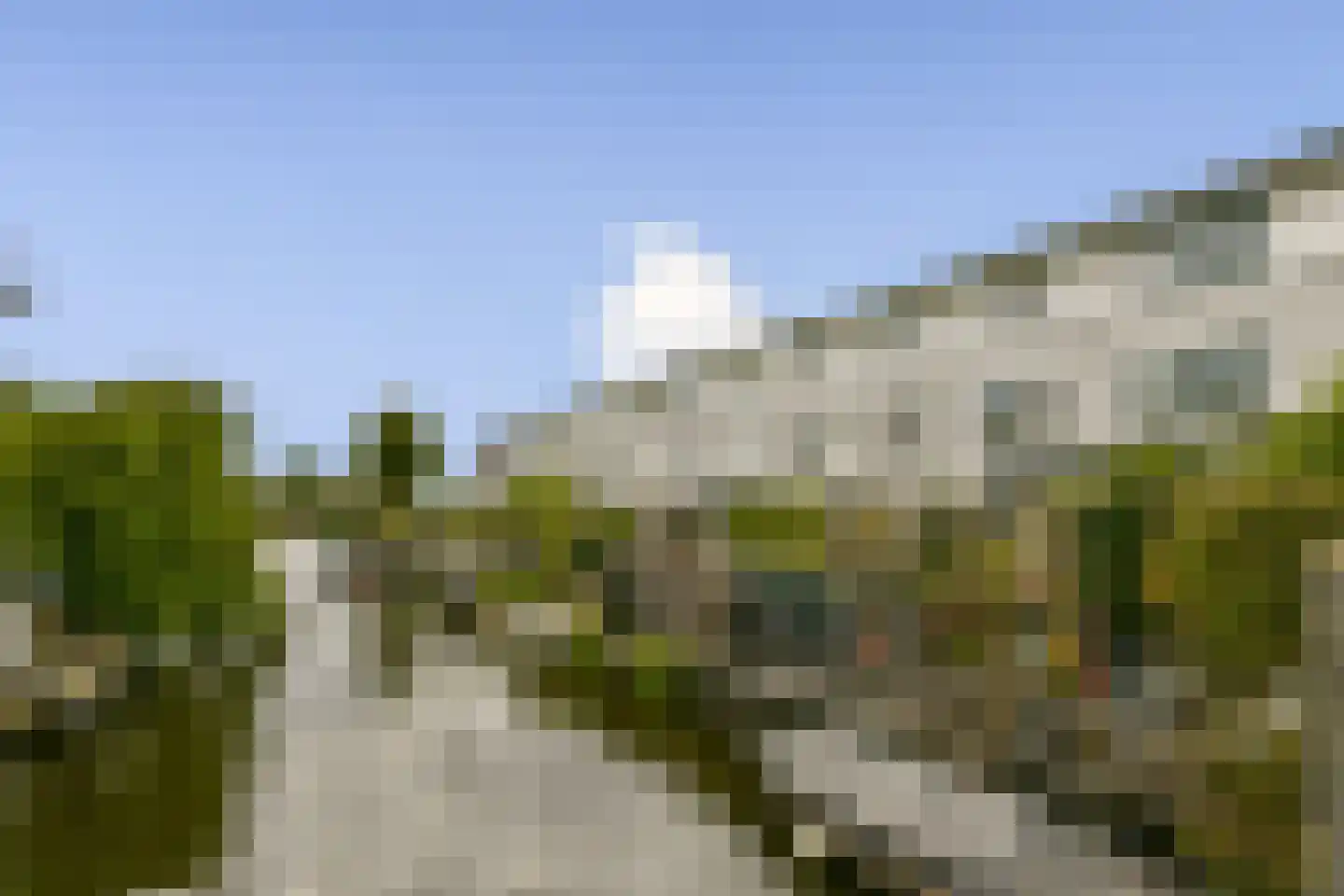 Stenen Beer 2 Amsterdam thumbnail 27