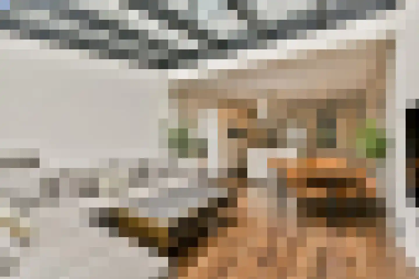 Stenen Beer 2 Amsterdam thumbnail 4