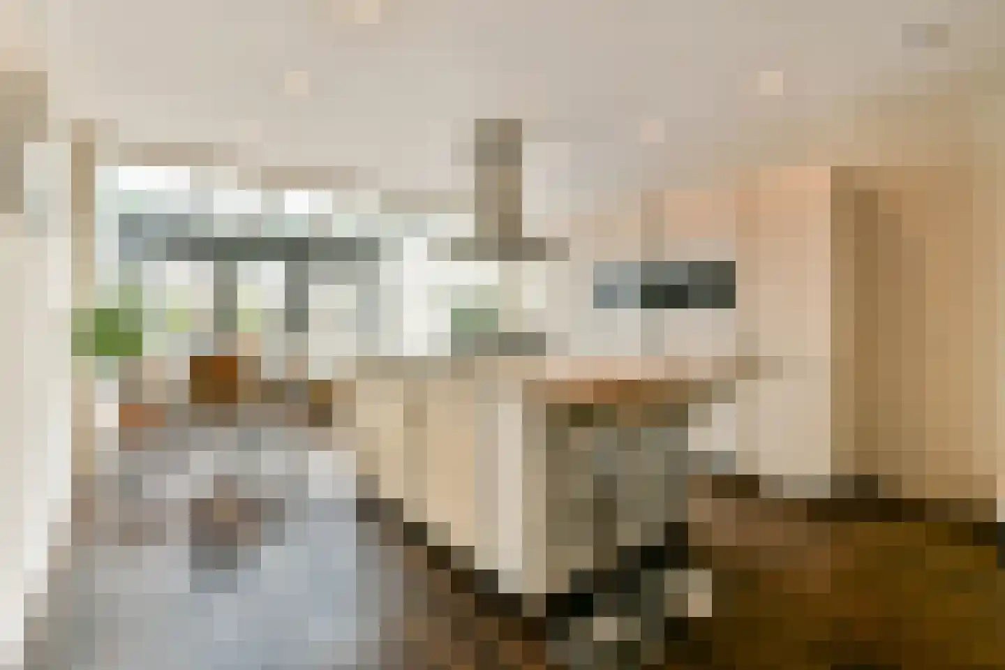 Stenen Beer 2 Amsterdam thumbnail 7