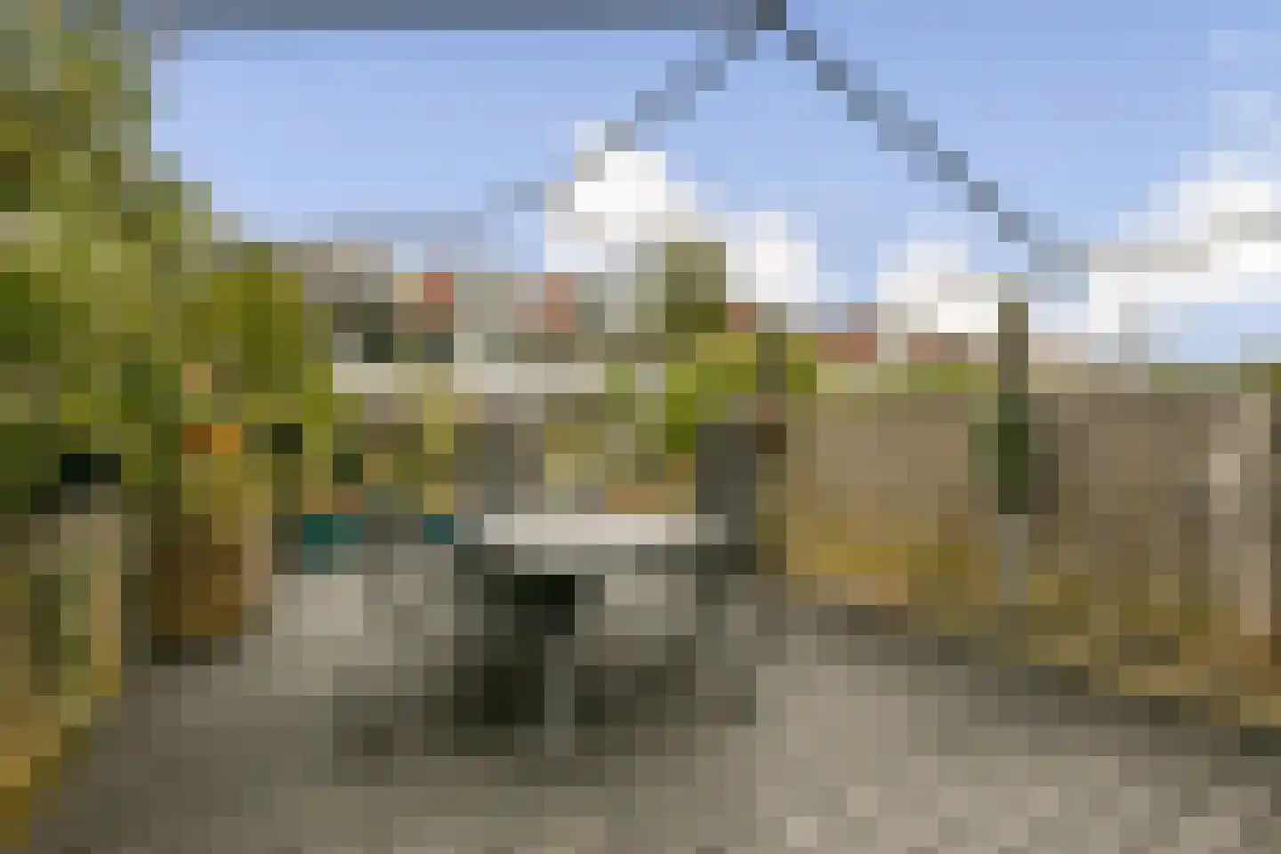 Stenen Beer 2 Amsterdam thumbnail 8