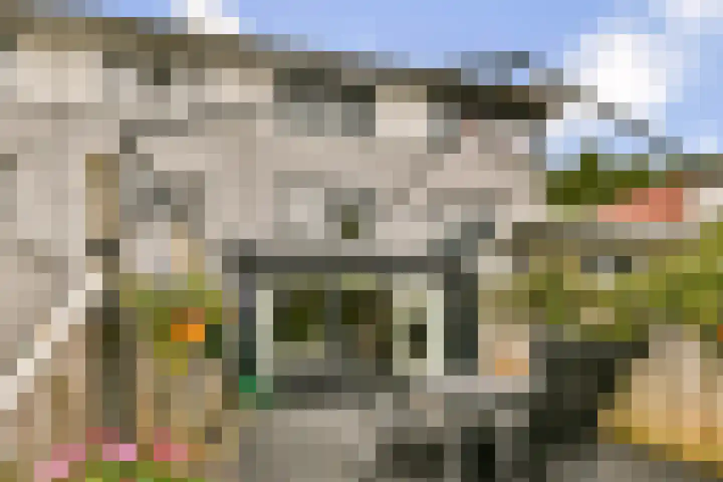 Stenen Beer 2 Amsterdam thumbnail 9