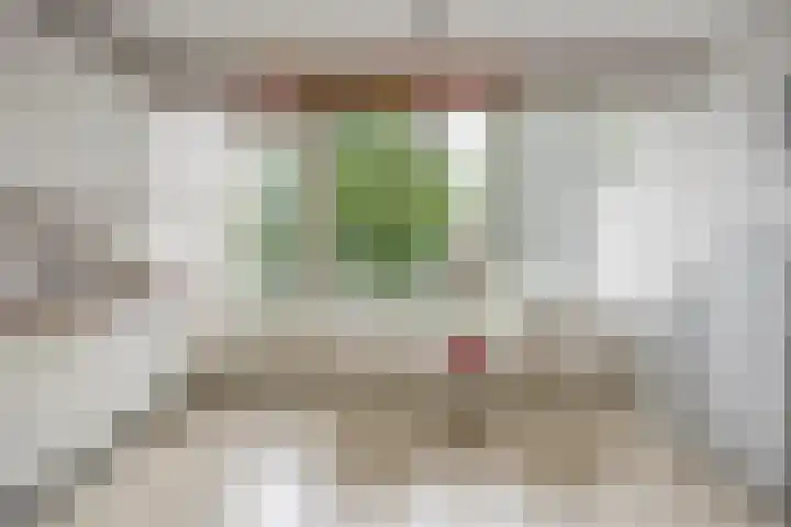 Stenen Beer 8 Gorinchem thumbnail 18