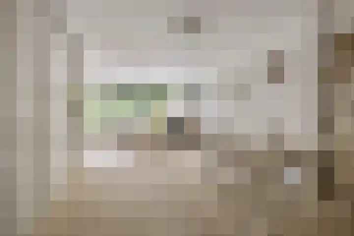 Stenen Beer 8 Gorinchem thumbnail 5