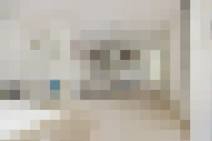 Stenen Beer 8 Gorinchem thumbnail 8