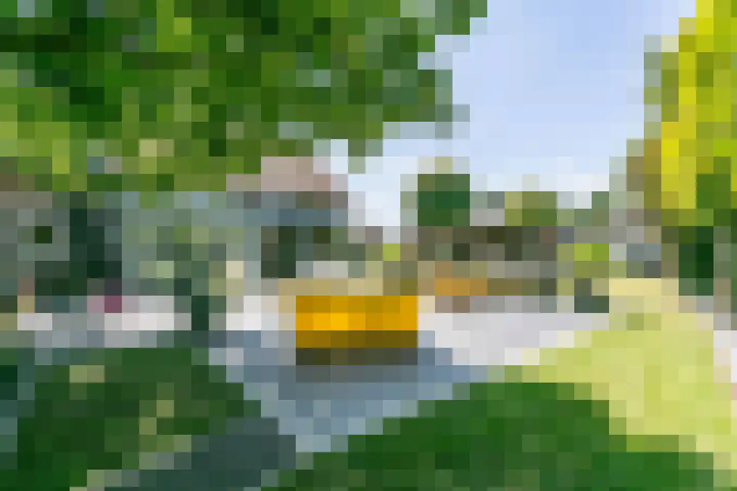 Stenen Brug 14 A Landgraaf thumbnail 5