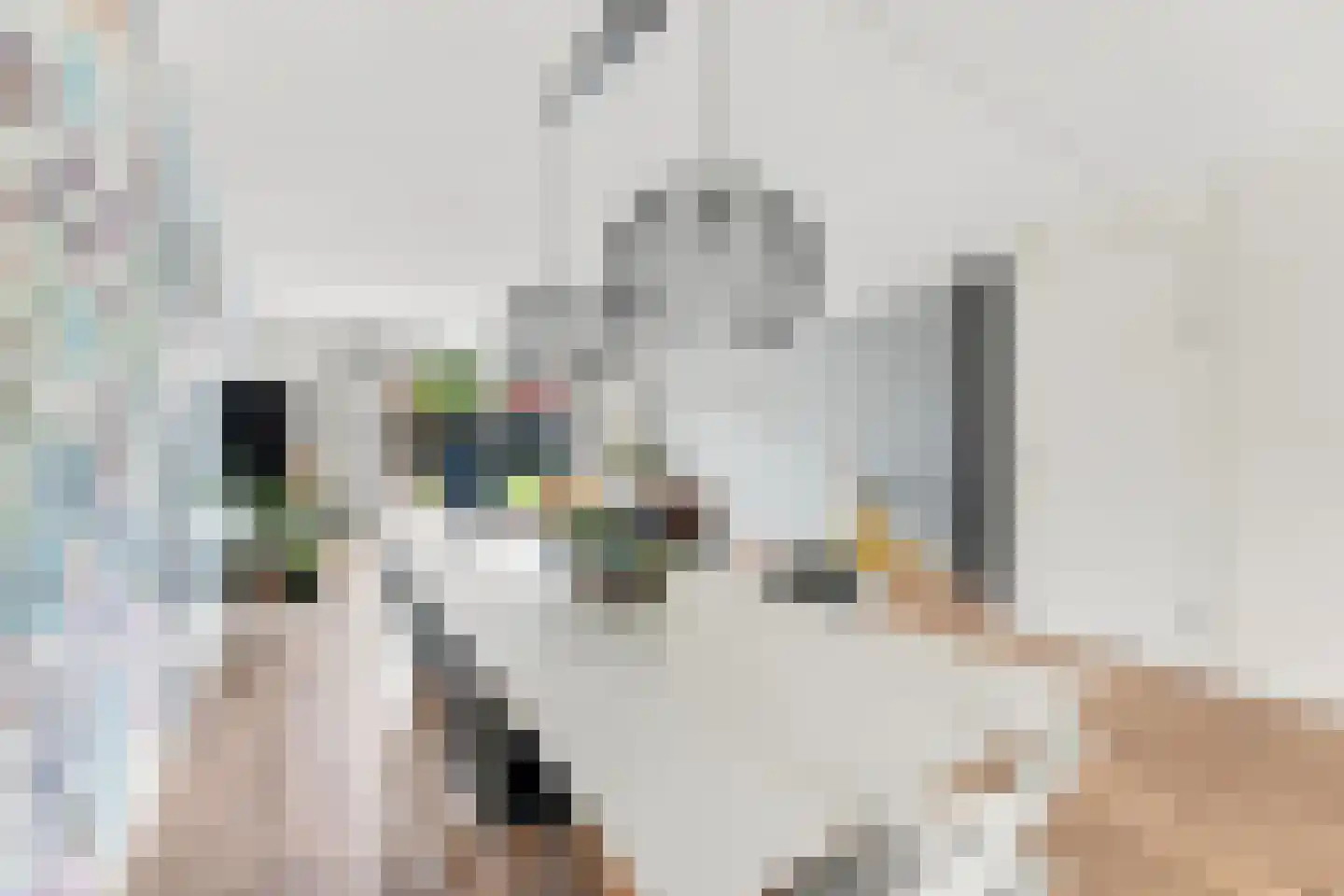 Stenen Kamer 28 Alblasserdam thumbnail 14