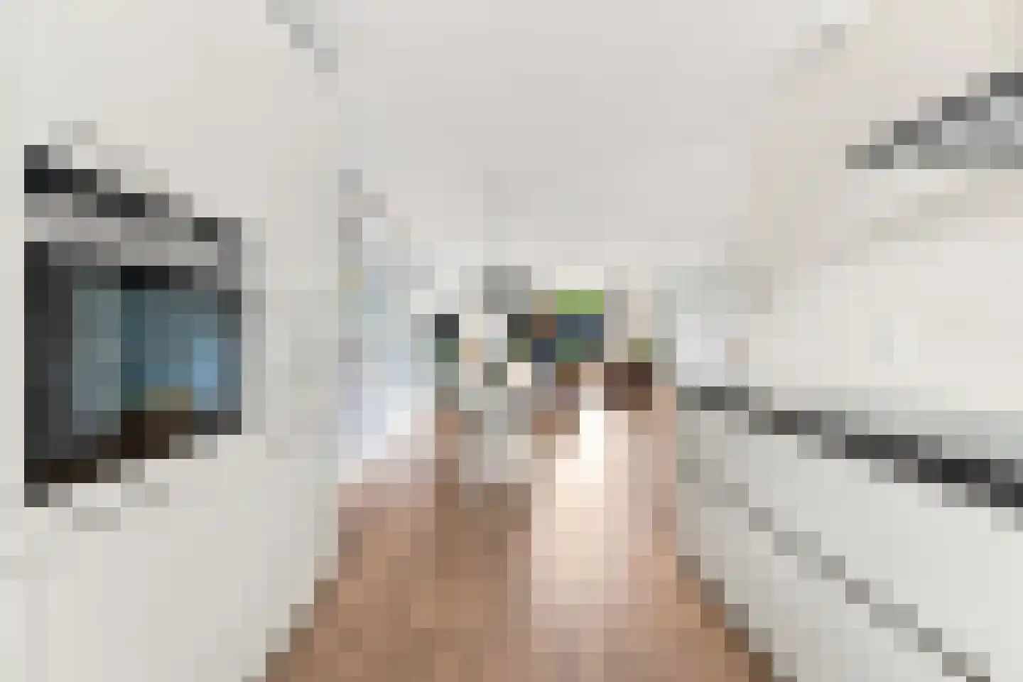 Stenen Kamer 28 Alblasserdam thumbnail 15